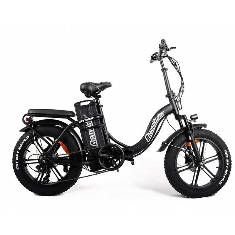ChamRider DT450 Electric Bike